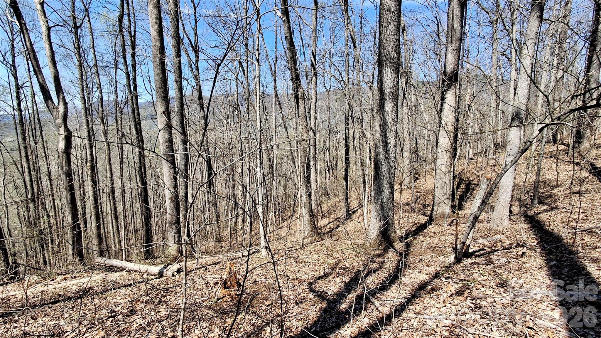 00 Maynor Drive Sylva NC 28779