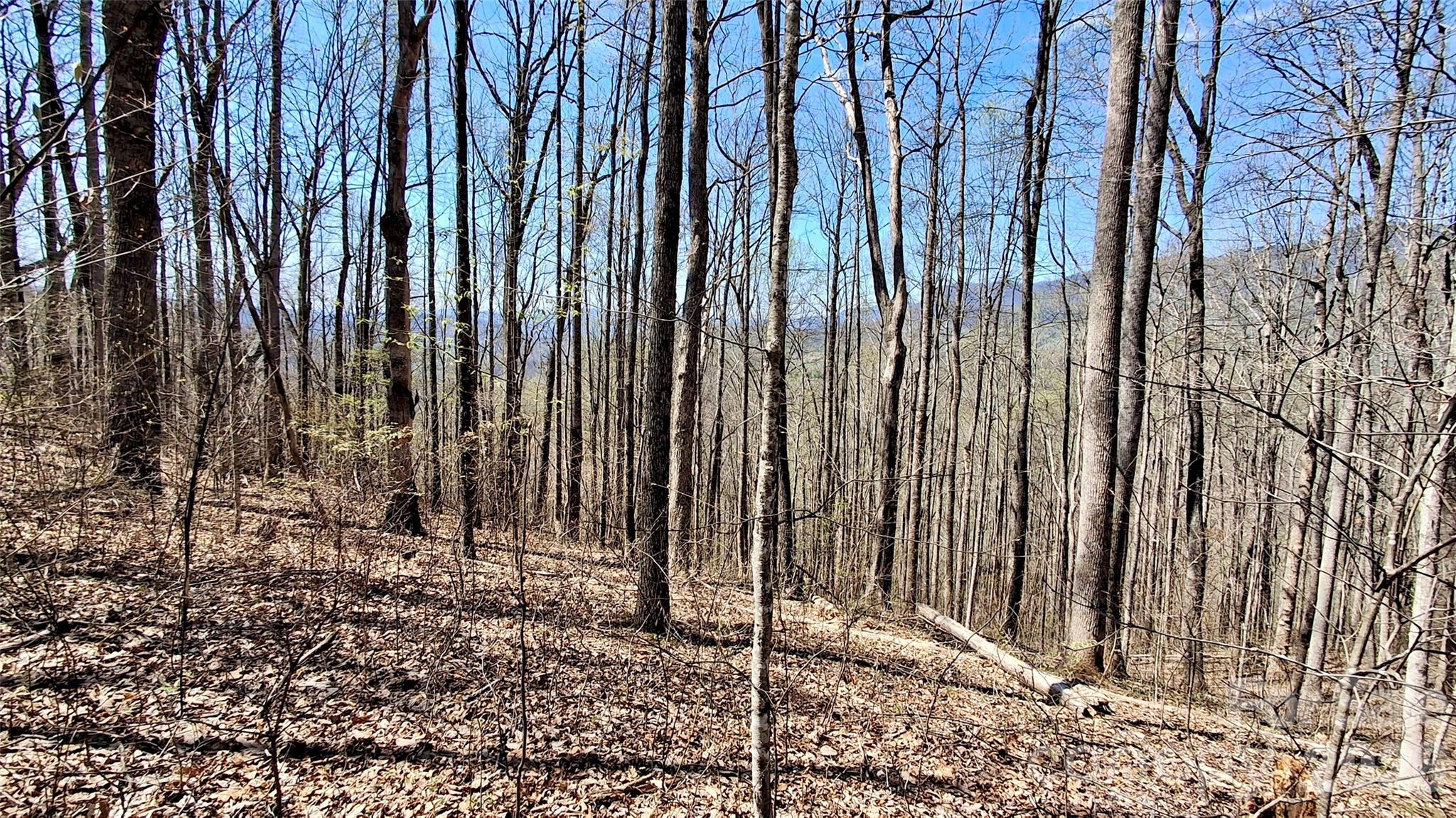 00 Maynor Drive Sylva NC 28779