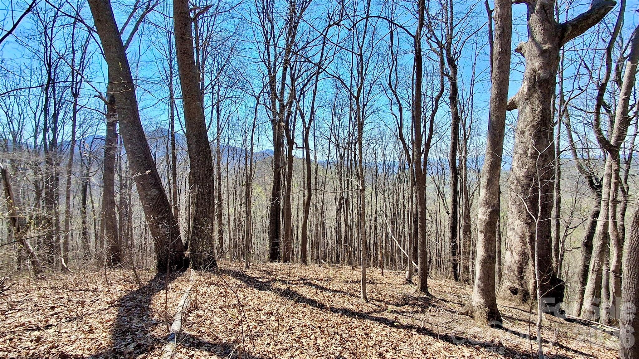 00 Maynor Drive Sylva NC 28779