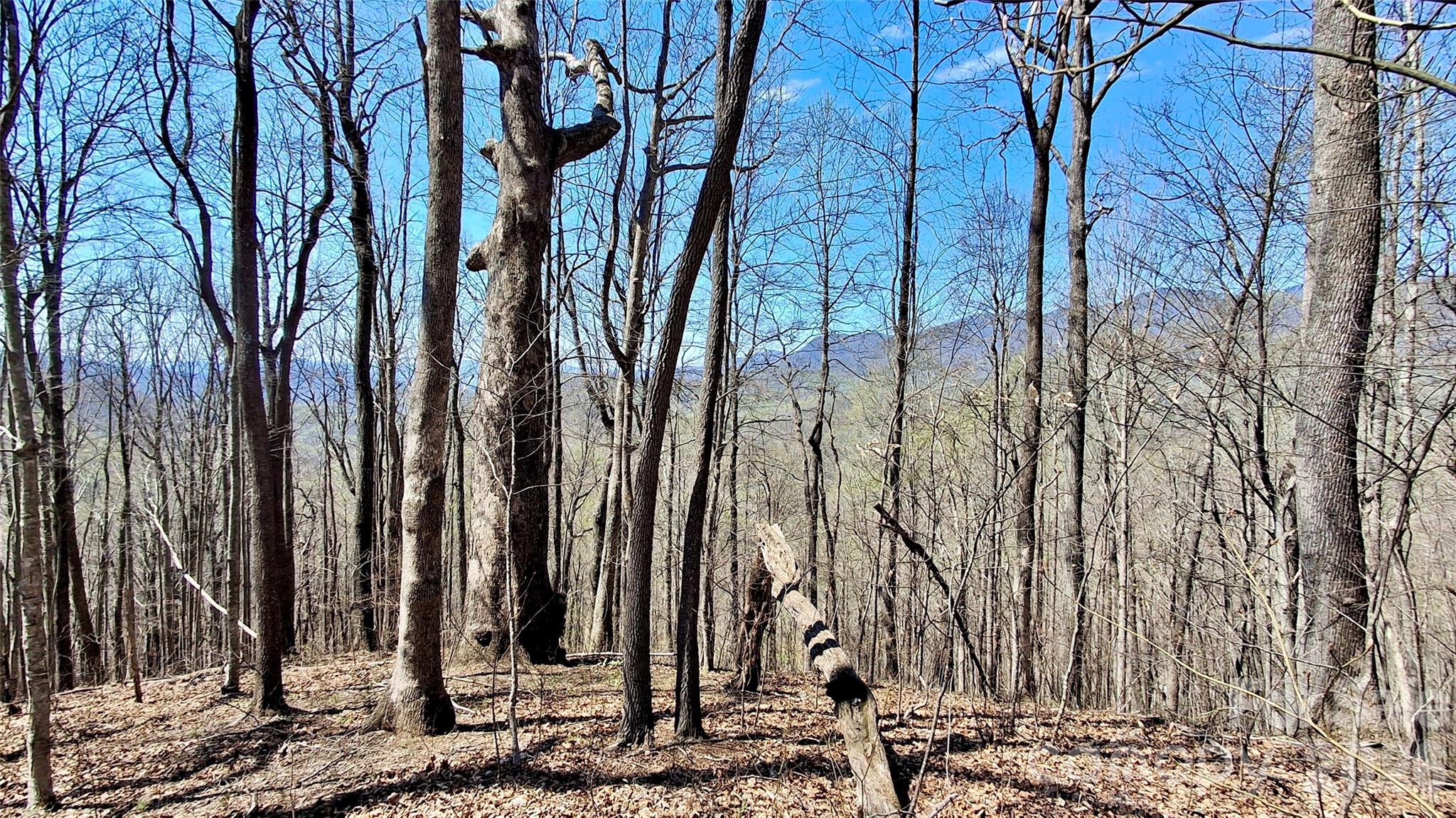00 Maynor Drive Sylva NC 28779
