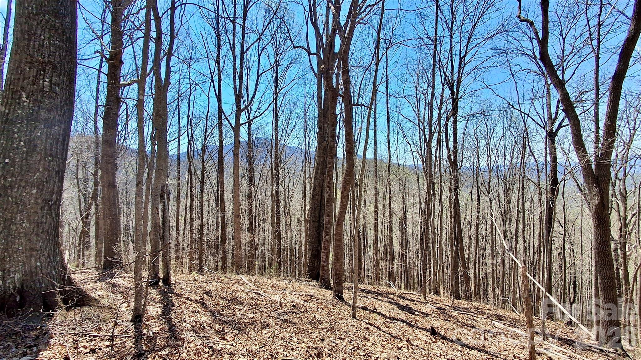 00 Maynor Drive Sylva NC 28779