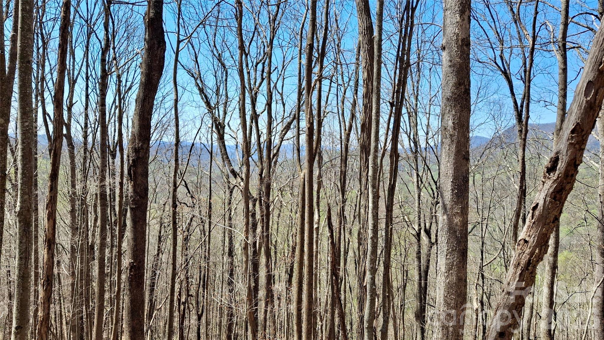 00 Maynor Drive Sylva NC 28779