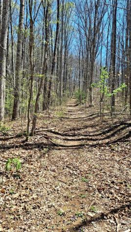 00 Maynor Drive Sylva NC 28779