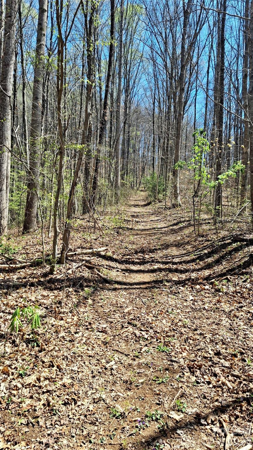 00 Maynor Drive Sylva NC 28779