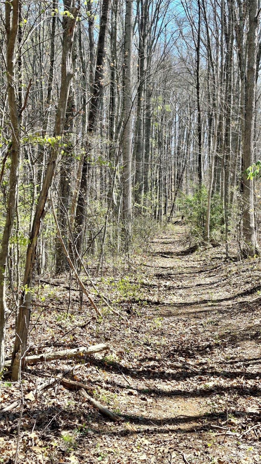 00 Maynor Drive Sylva NC 28779