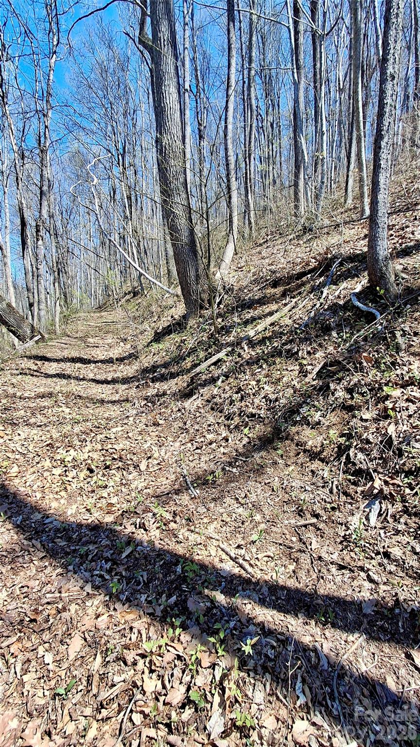 00 Maynor Drive Sylva NC 28779