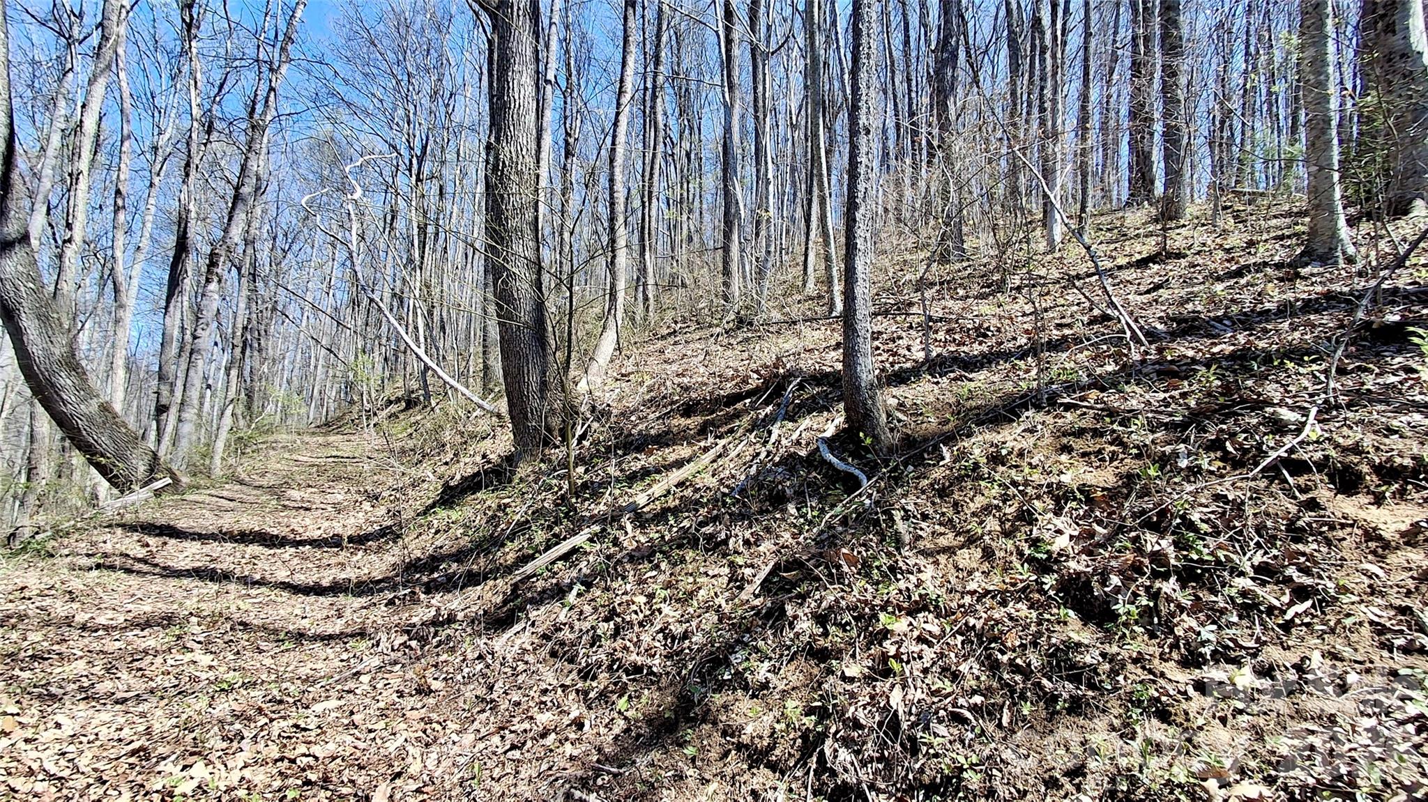 00 Maynor Drive Sylva NC 28779