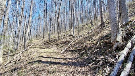00 Maynor Drive Sylva NC 28779
