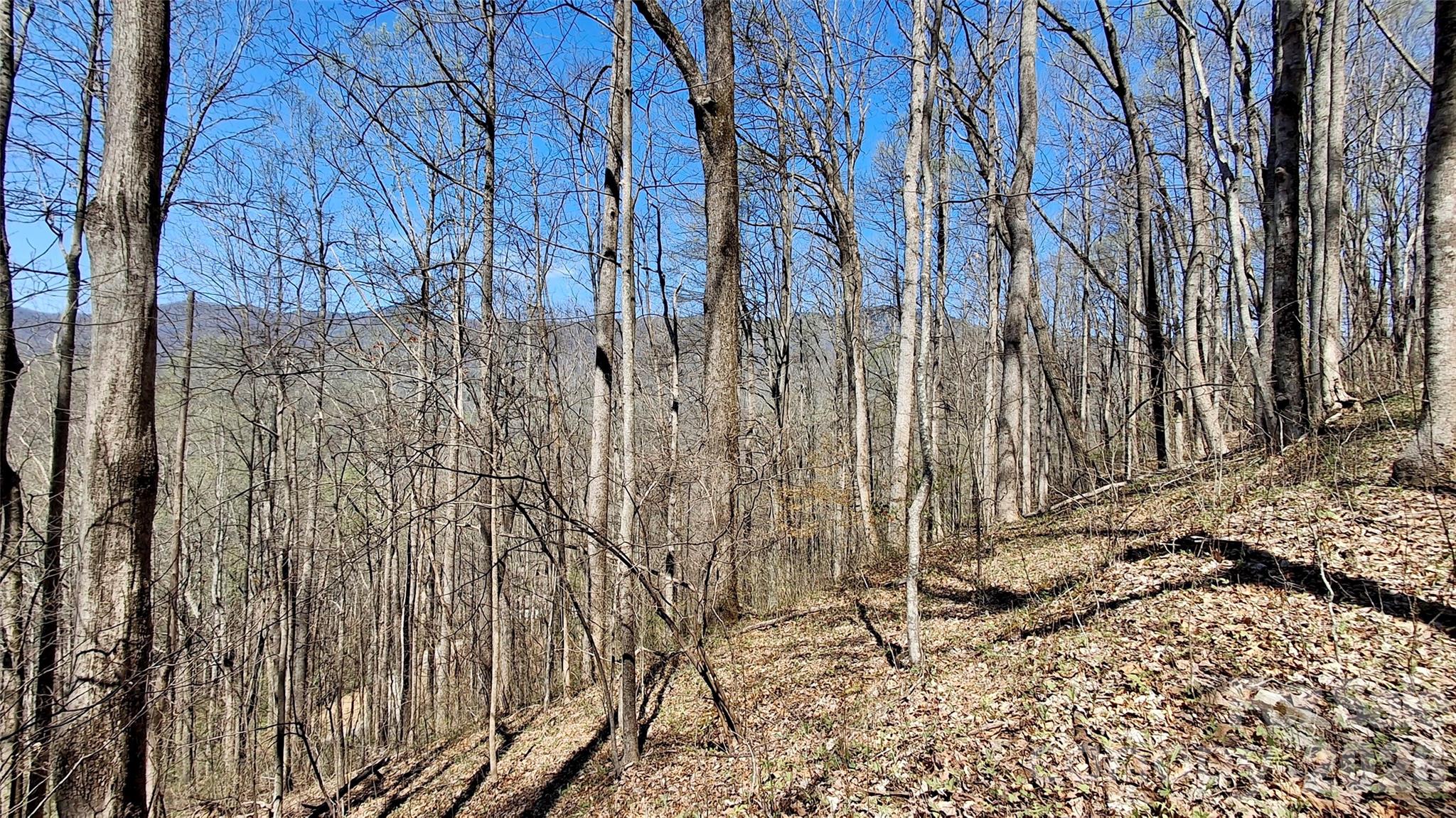 00 Maynor Drive Sylva NC 28779