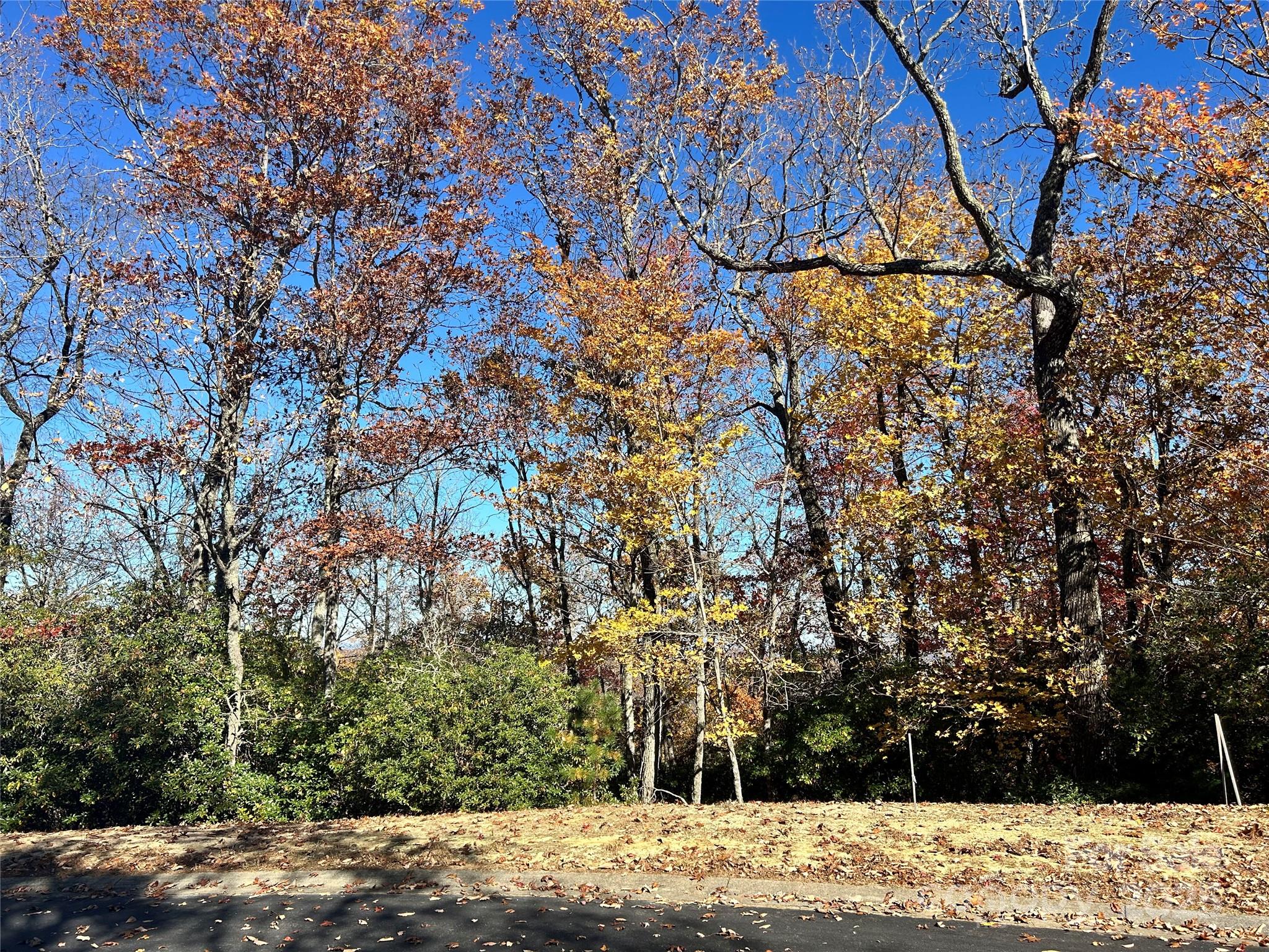 1114 Mills River Way Horse Shoe NC 28742