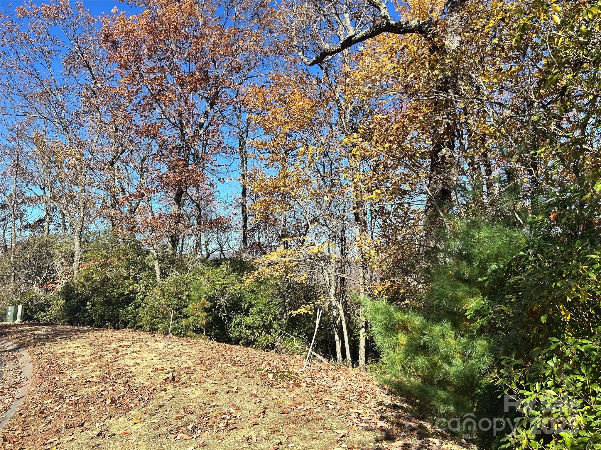 1114 Mills River Way Horse Shoe NC 28742
