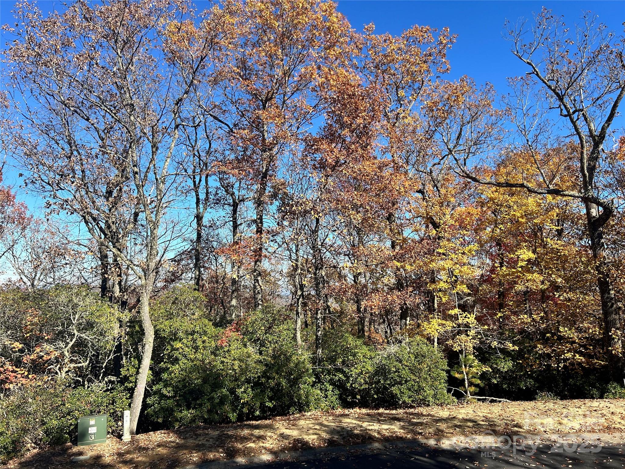 1114 Mills River Way Horse Shoe NC 28742