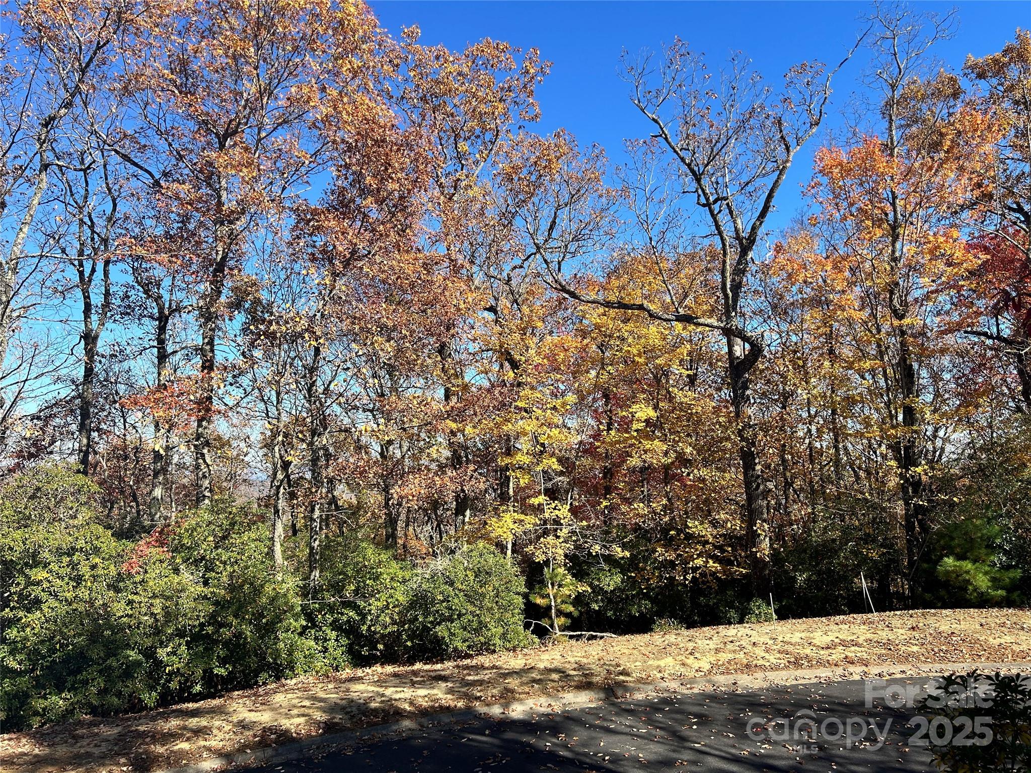 1114 Mills River Way Horse Shoe NC 28742