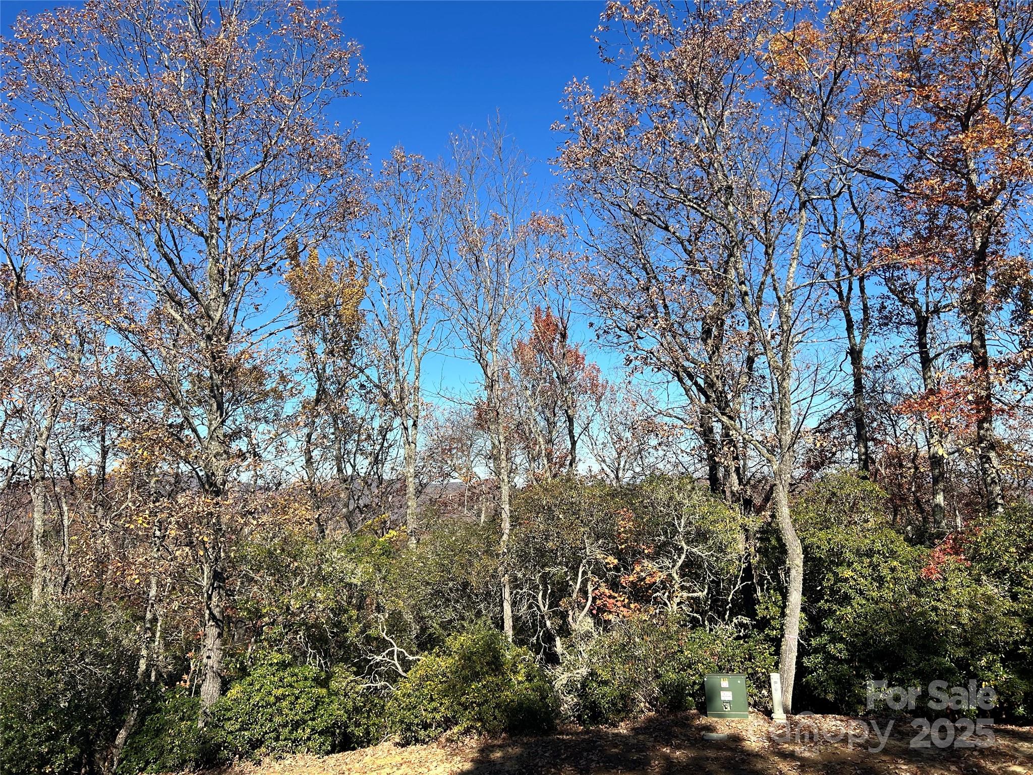 1114 Mills River Way Horse Shoe NC 28742