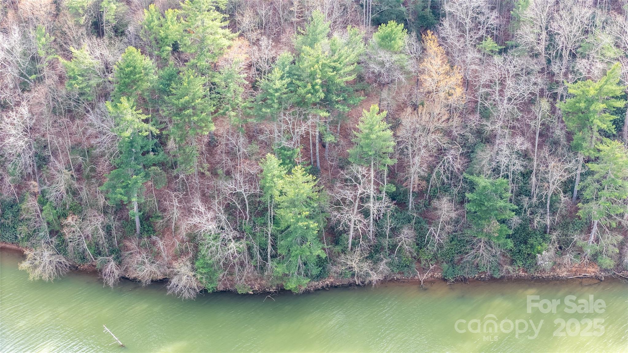 6355 Mcgalliard Pointe Drive NE Valdese NC 28690