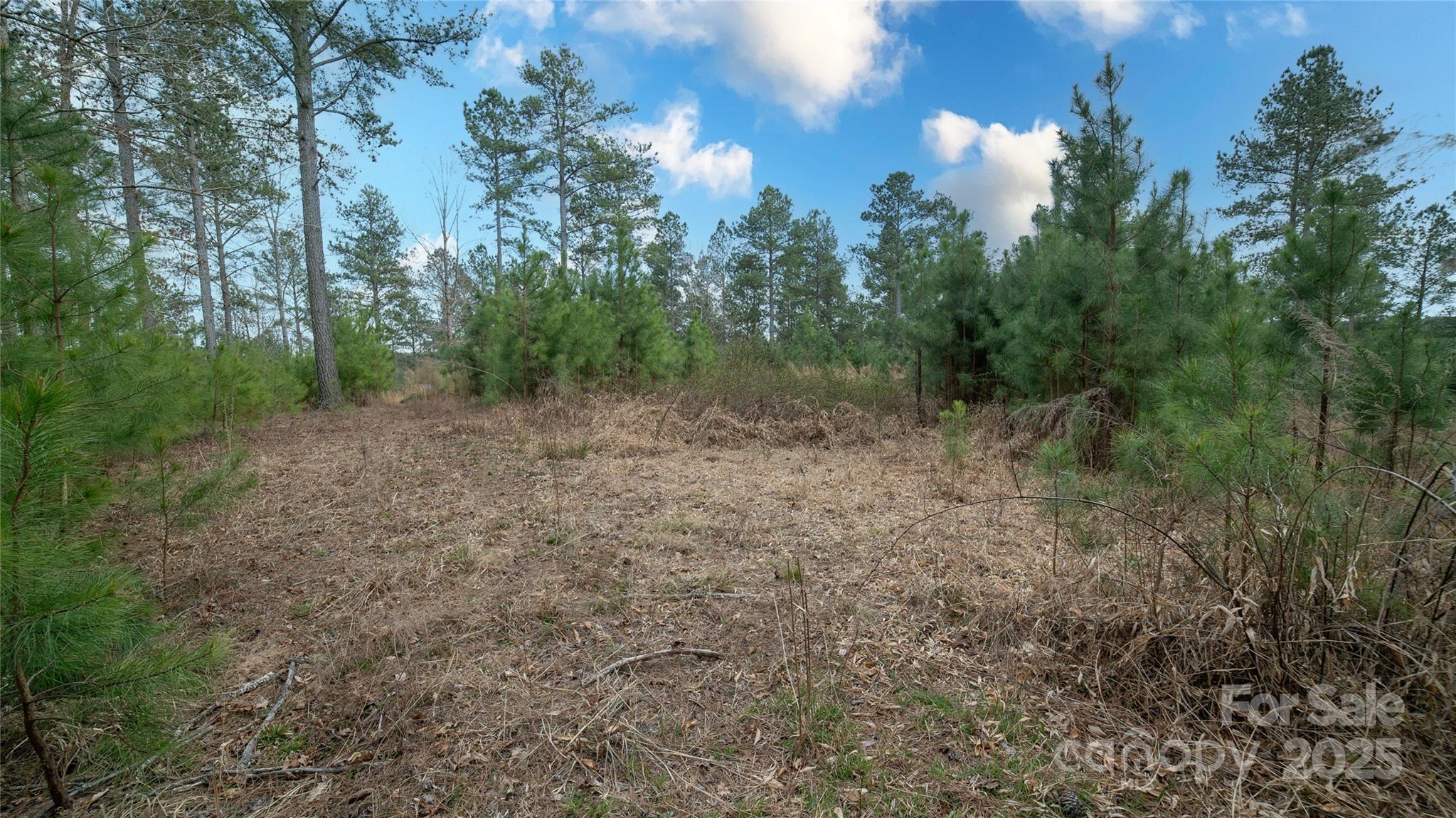 6355 Mcgalliard Pointe Drive NE Valdese NC 28690