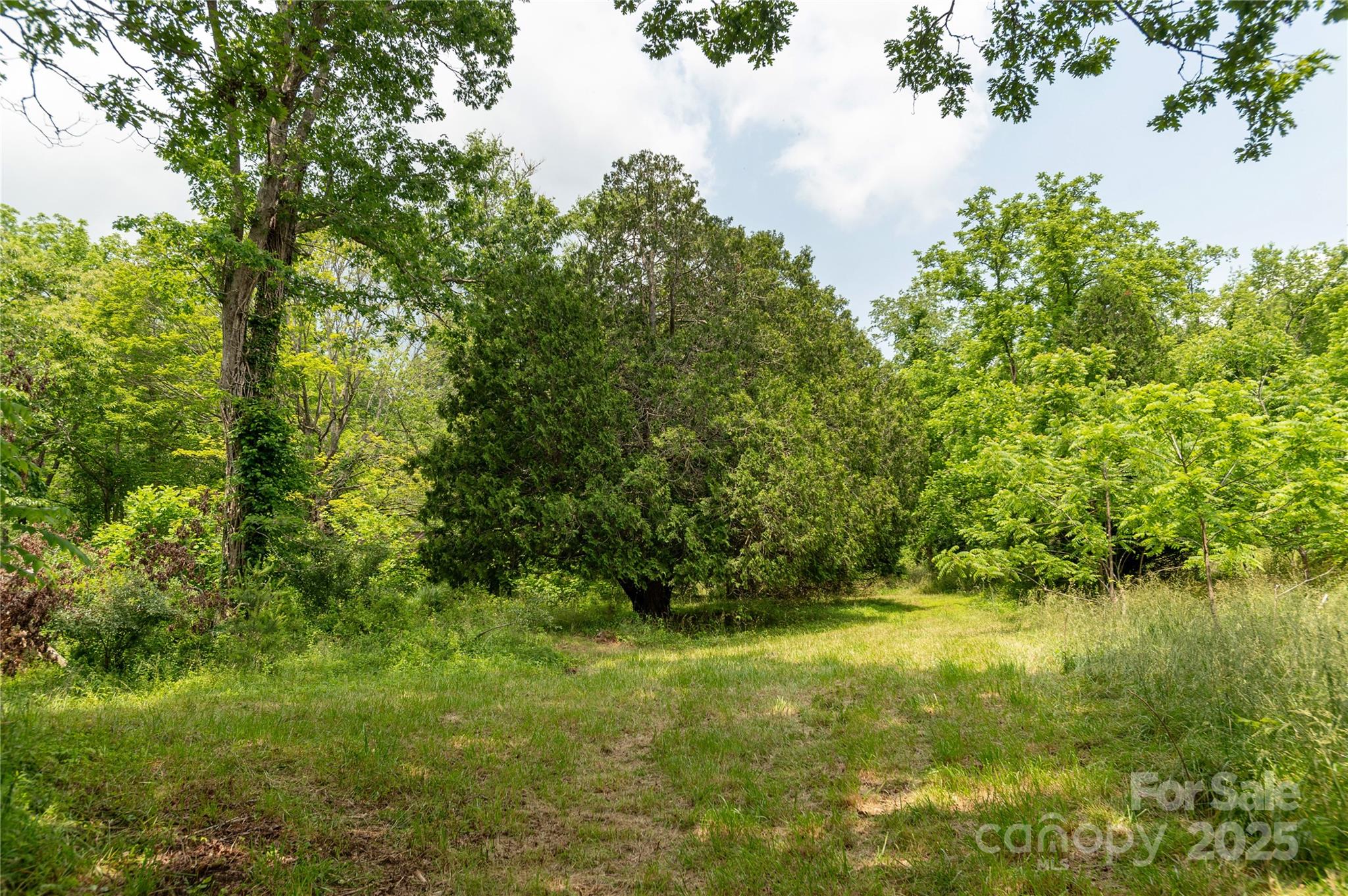 997 Tole Allison Road Mills River NC 28759