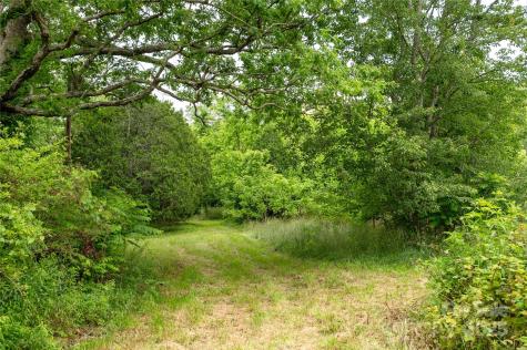 997 Tole Allison Road Mills River NC 28759