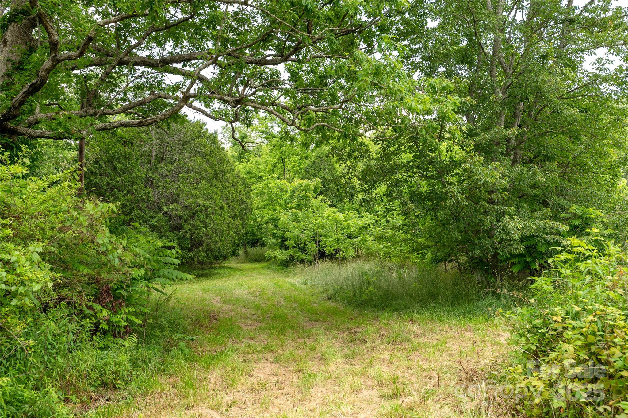 997 Tole Allison Road Mills River NC 28759