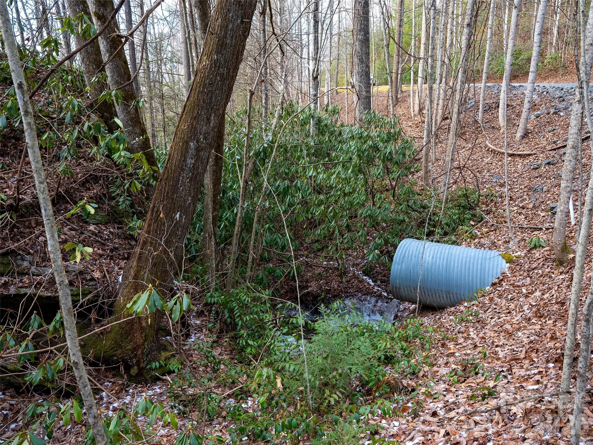 Lt 617a Lost Mine Trail Brevard NC 28712