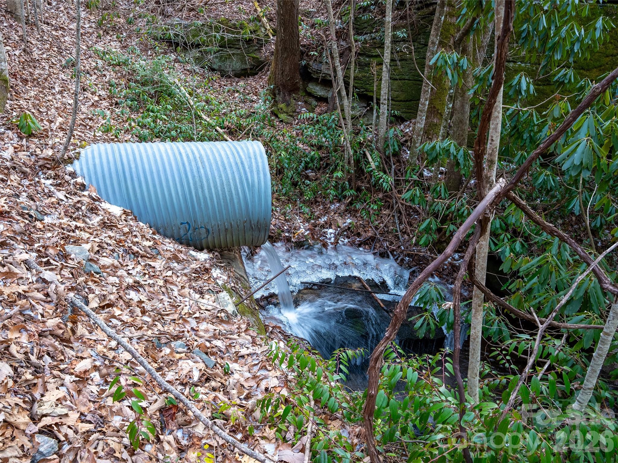 Lt 617a Lost Mine Trail Brevard NC 28712