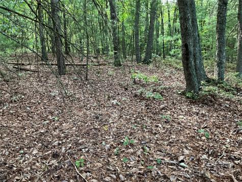 Tbd D G Echerd Road Taylorsville NC 28681