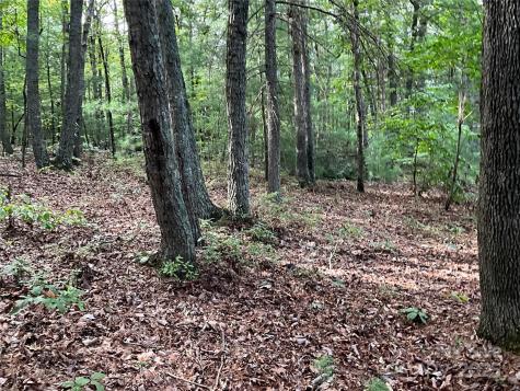 Tbd D G Echerd Road Taylorsville NC 28681