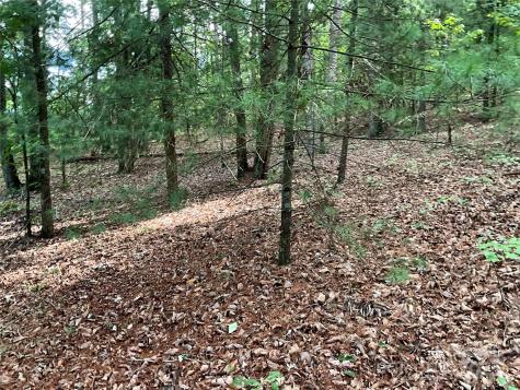 Tbd D G Echerd Road Taylorsville NC 28681