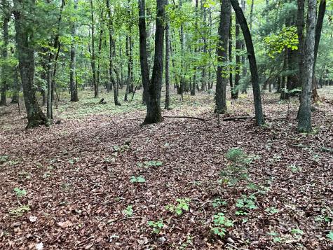 Tbd D G Echerd Road Taylorsville NC 28681