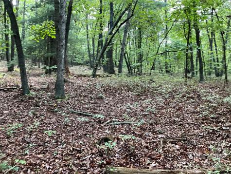 Tbd D G Echerd Road Taylorsville NC 28681