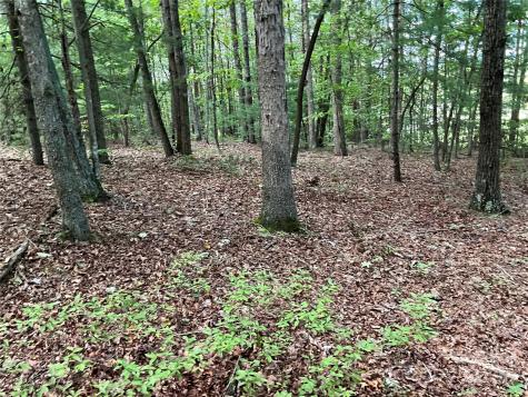 Tbd D G Echerd Road Taylorsville NC 28681