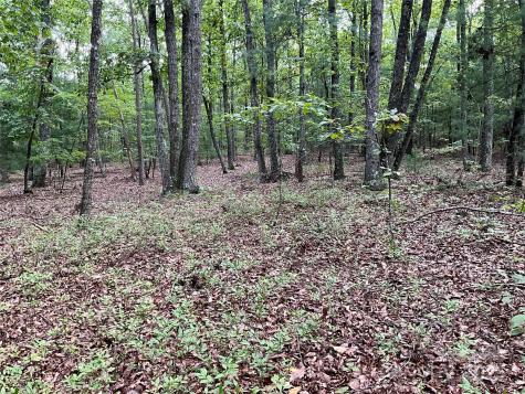 Tbd D G Echerd Road Taylorsville NC 28681