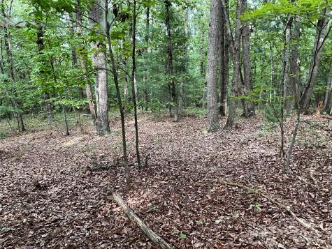 Tbd D G Echerd Road Taylorsville NC 28681