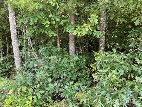 Tbd D G Echerd Road Taylorsville NC 28681