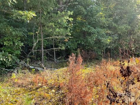 Tbd D G Echerd Road Taylorsville NC 28681