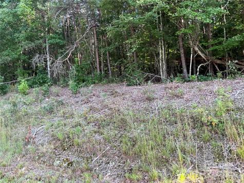 Tbd D G Echerd Road Taylorsville NC 28681