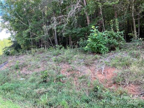 Tbd D G Echerd Road Taylorsville NC 28681