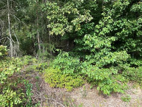 Tbd D G Echerd Road Taylorsville NC 28681