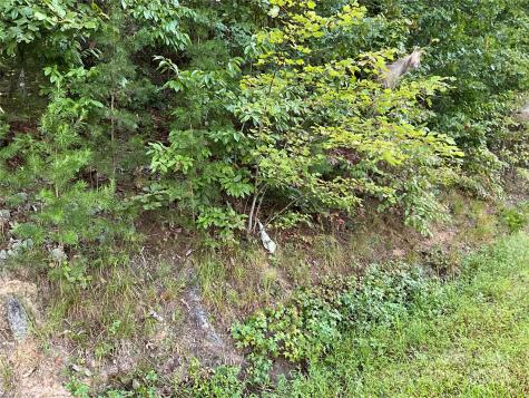 Tbd D G Echerd Road Taylorsville NC 28681