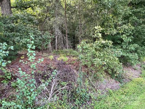 Tbd D G Echerd Road Taylorsville NC 28681