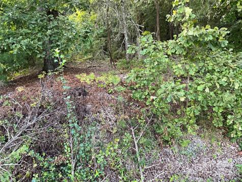 Tbd D G Echerd Road Taylorsville NC 28681