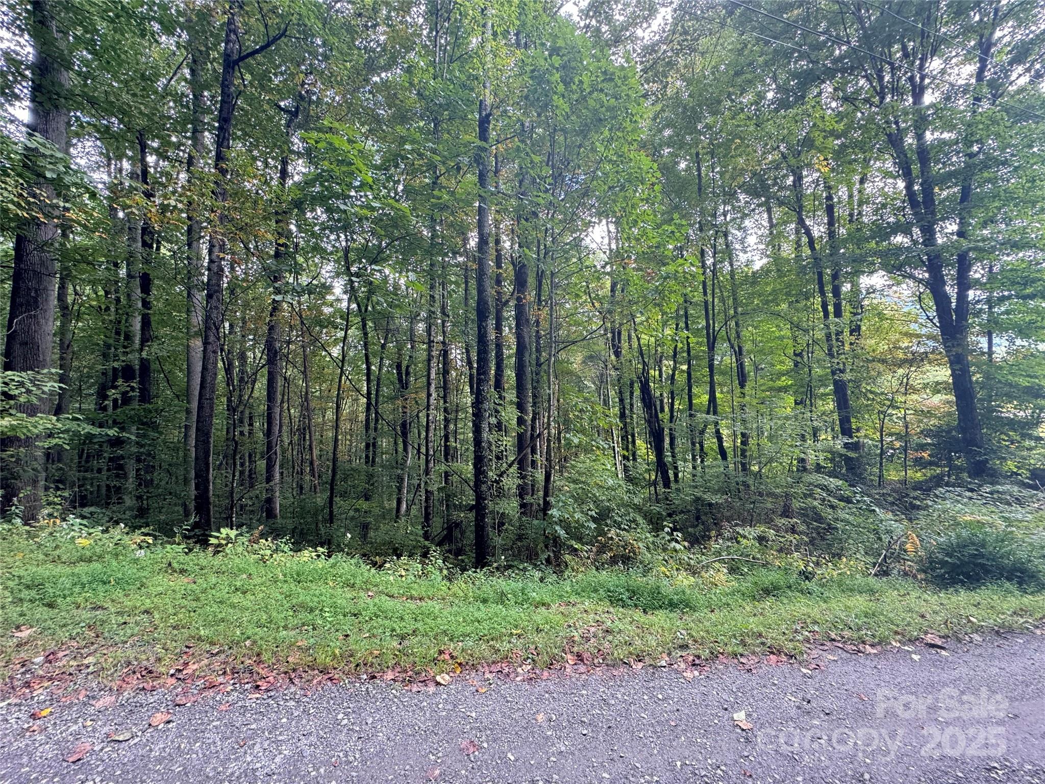 13 Fern Trail Waynesville NC 28786