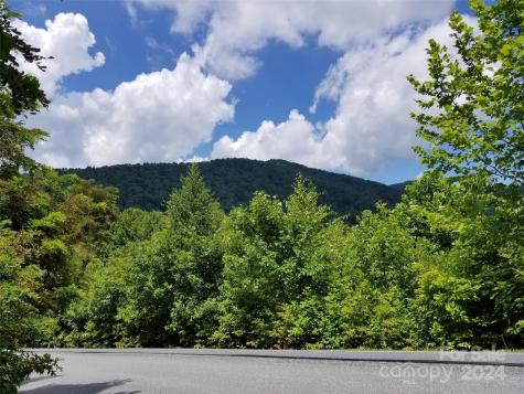 567 Blue Mist Way Arden NC 28704