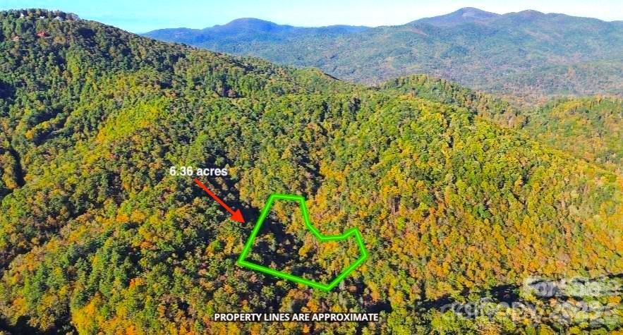 14 Johnny Farm Road Black Mountain NC 28711