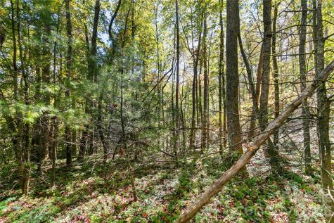 14 Johnny Farm Road Black Mountain NC 28711