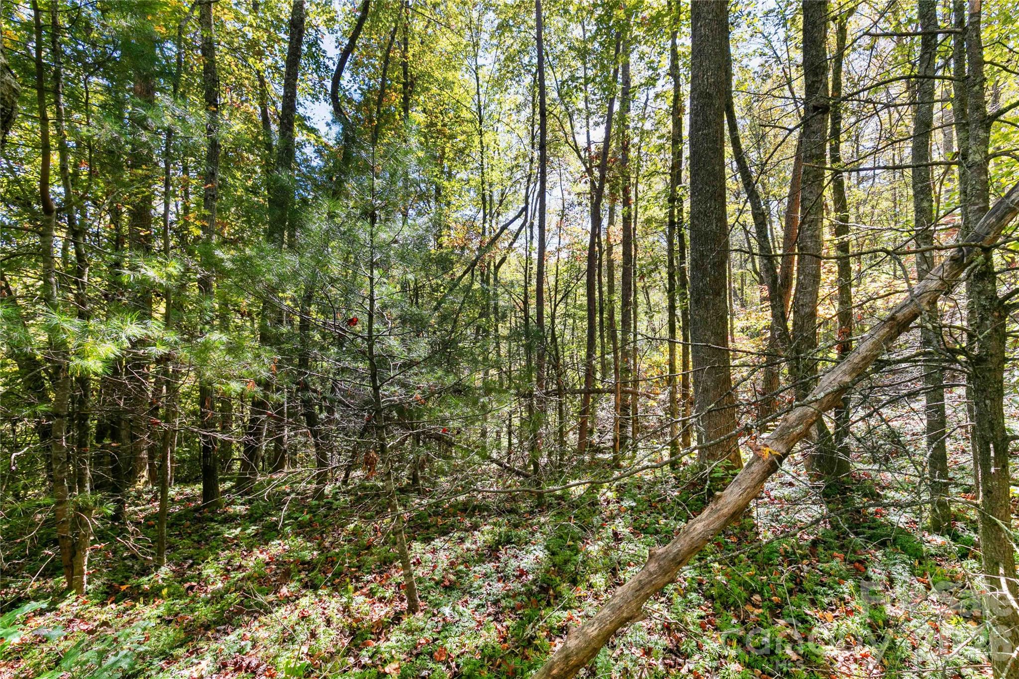 14 Johnny Farm Road Black Mountain NC 28711