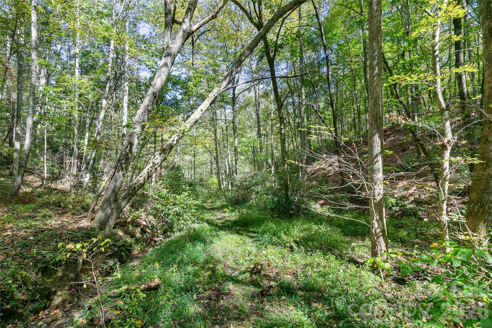 14 Johnny Farm Road Black Mountain NC 28711