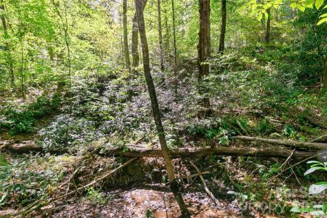 14 Johnny Farm Road Black Mountain NC 28711