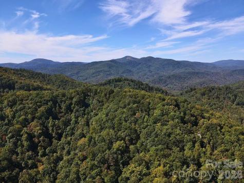 14 Johnny Farm Road Black Mountain NC 28711