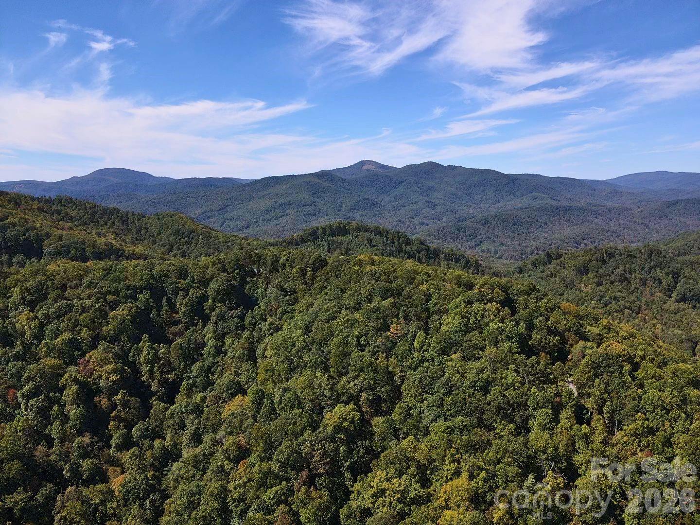 14 Johnny Farm Road Black Mountain NC 28711